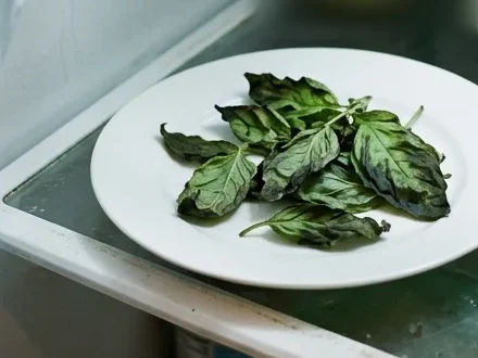 How to store Basil - Basil leaves on a plate in the fridge, darkened to a dull blackish green after time in the cold.