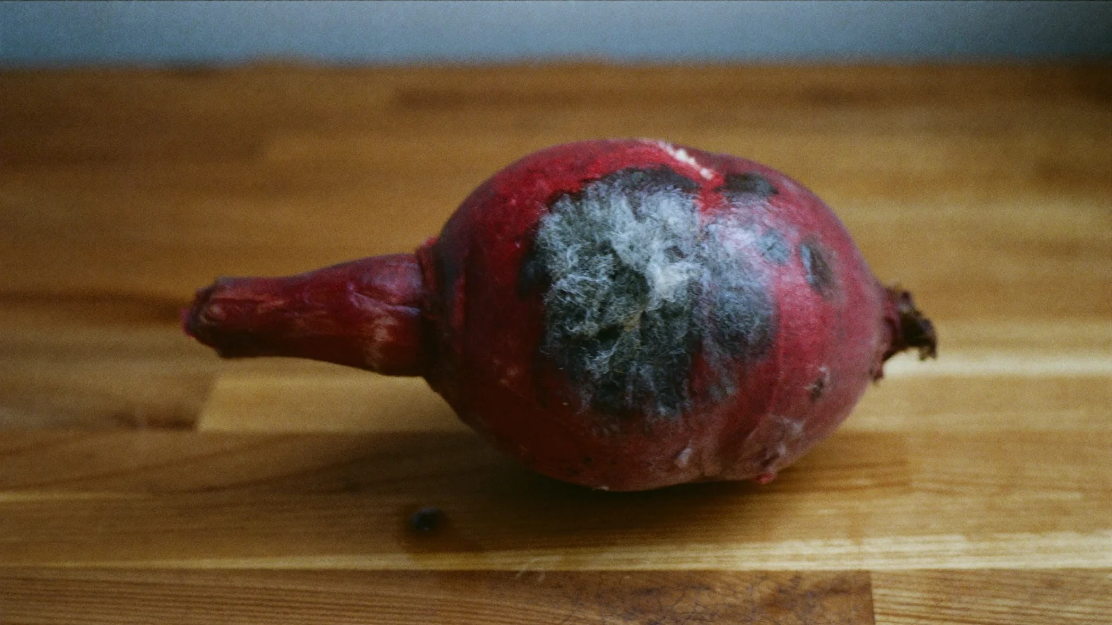 A mushy beet with a wet, collapsed patch and spreading mold