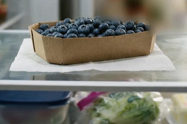 A punnet of blueberries flat on a fridge shelf, the way to store blueberries so they keep for a fortnight.