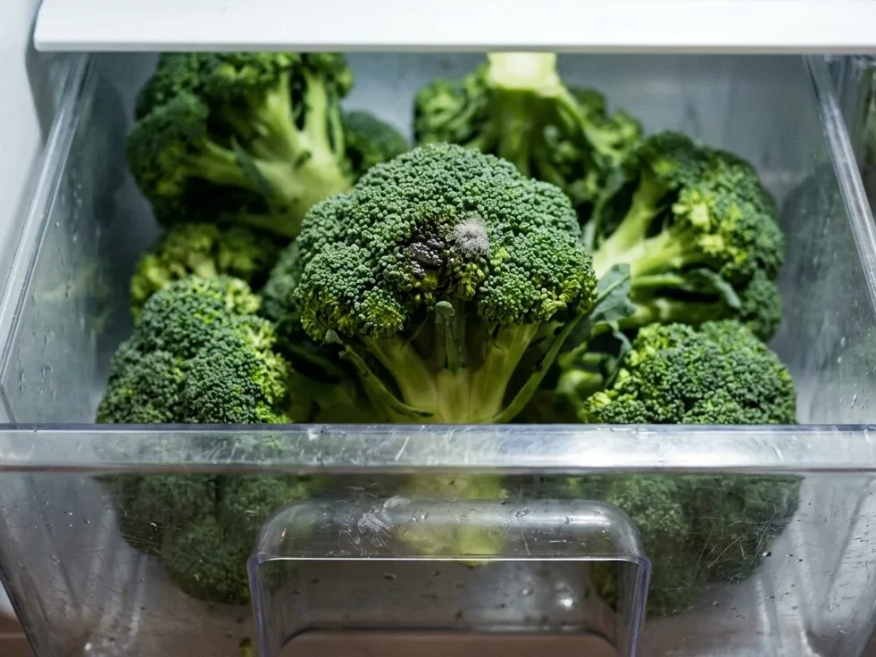 Several broccoli heads in a fridge drawer, one with a small dark patch and a pinpoint of pale mold on its florets.