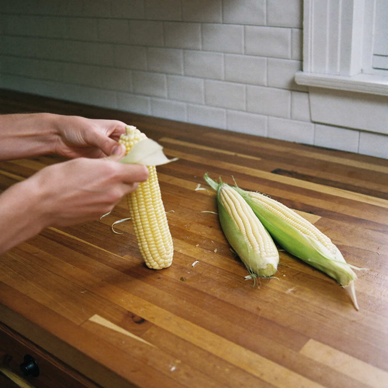 Hands holding a freshly shucked ear of corn beside two more ears on the counter