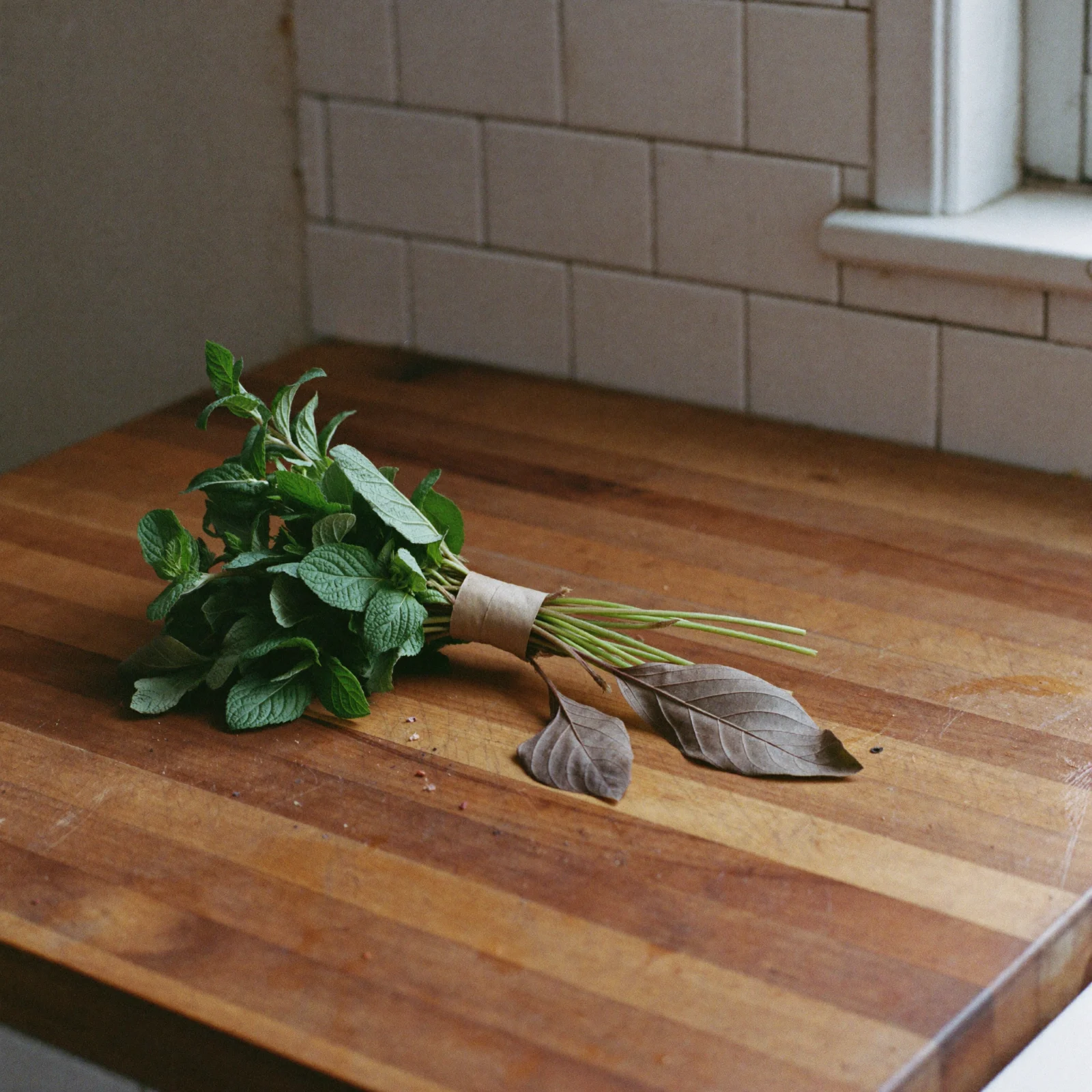 A bunch of bright green mint with two browned leaves pulled aside on a kitchen counter