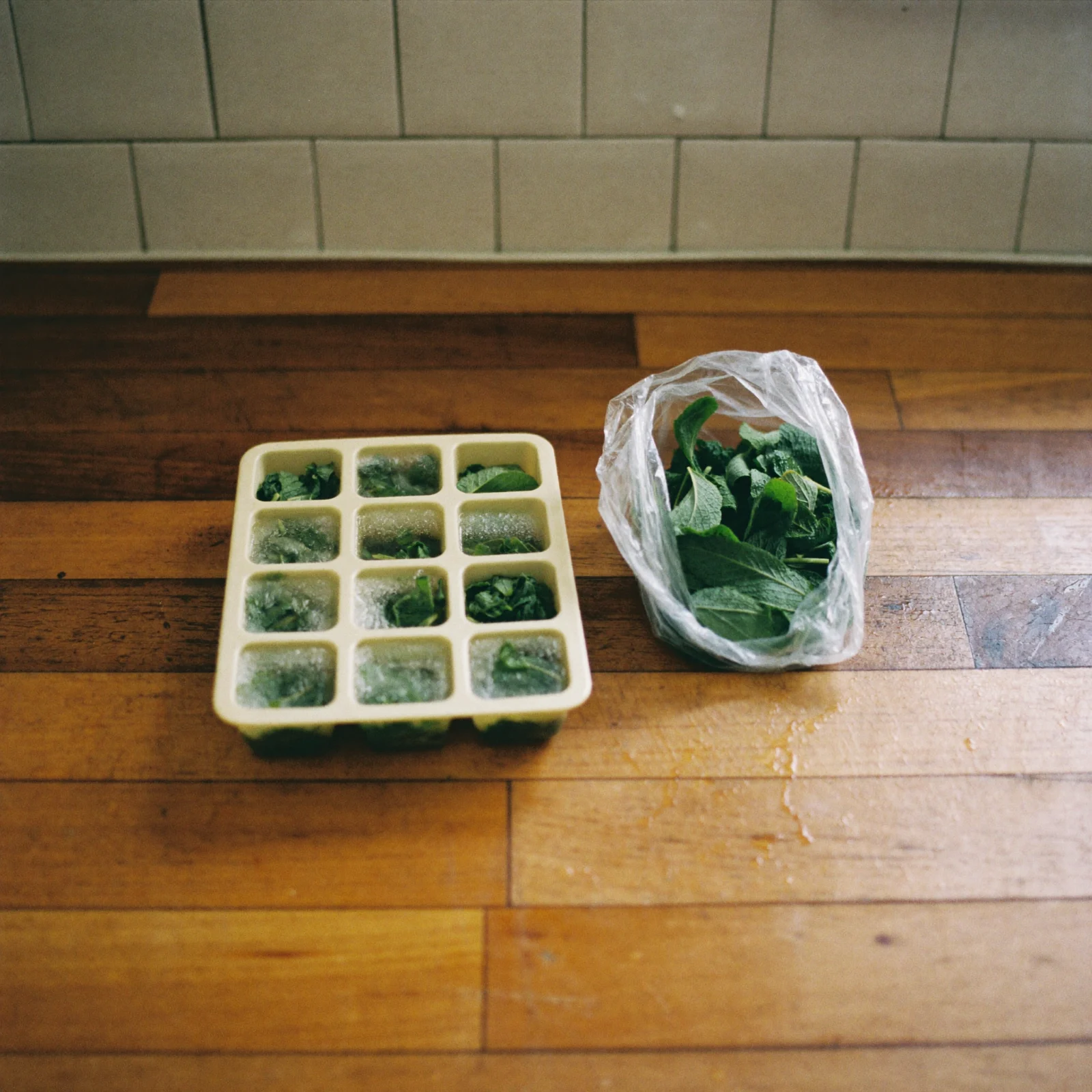 Chopped mint frozen into ice cubes in a tray beside a bag of whole frozen mint leaves