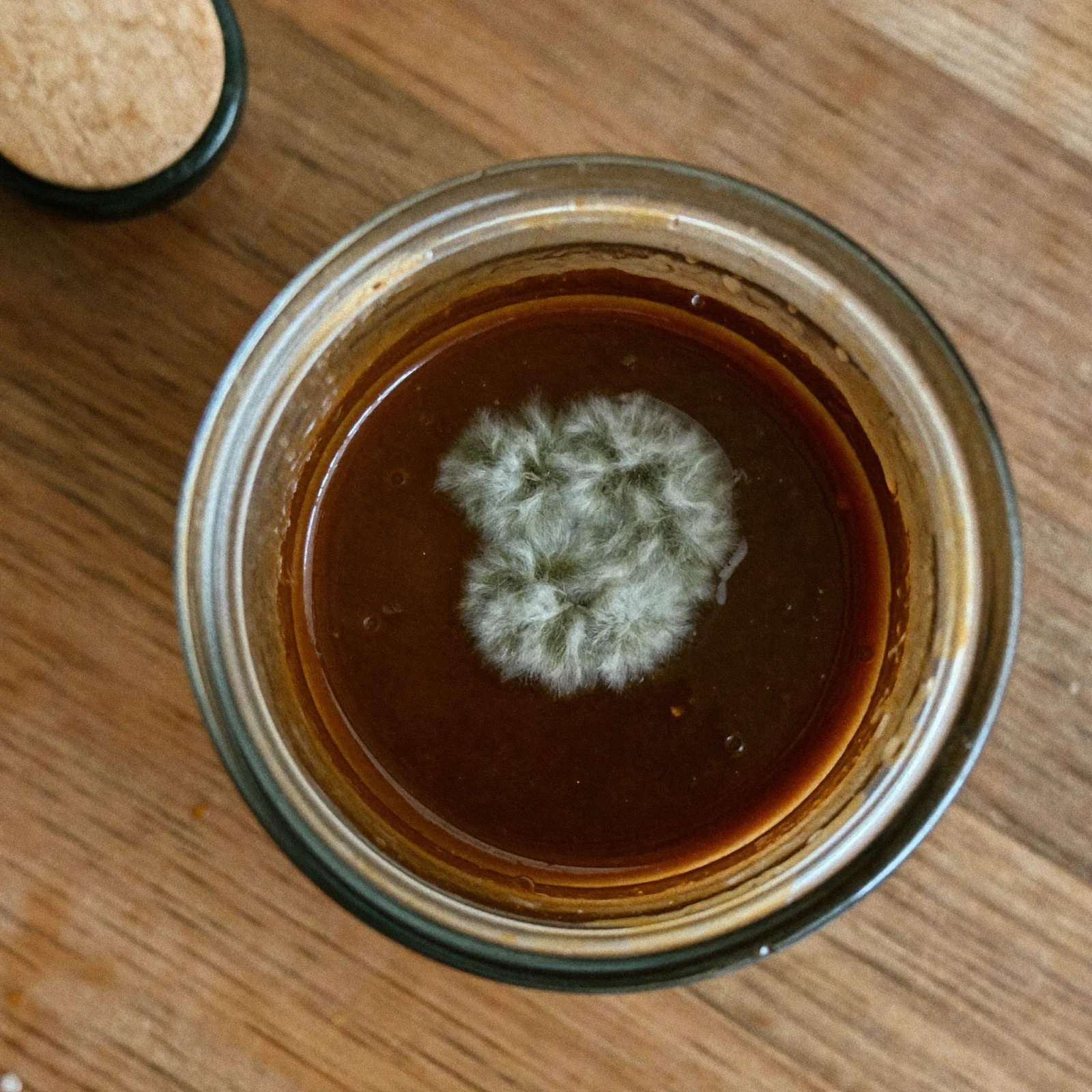 A patch of fuzzy grey-green mold on the surface of Worcestershire sauce in an open jar